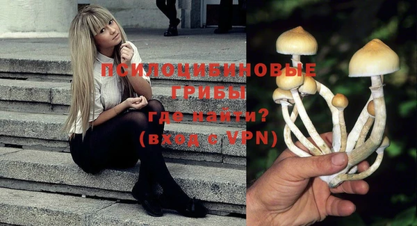 первитин Каменка