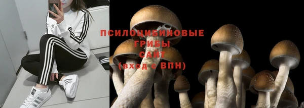 первитин Каменка
