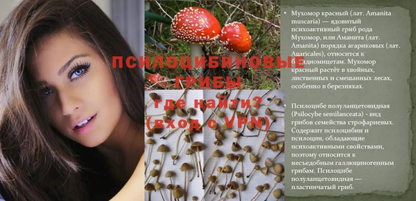 прущий лед Каменногорск