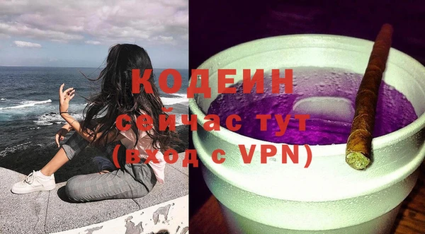 первитин Каменка