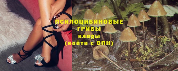 первитин Каменка